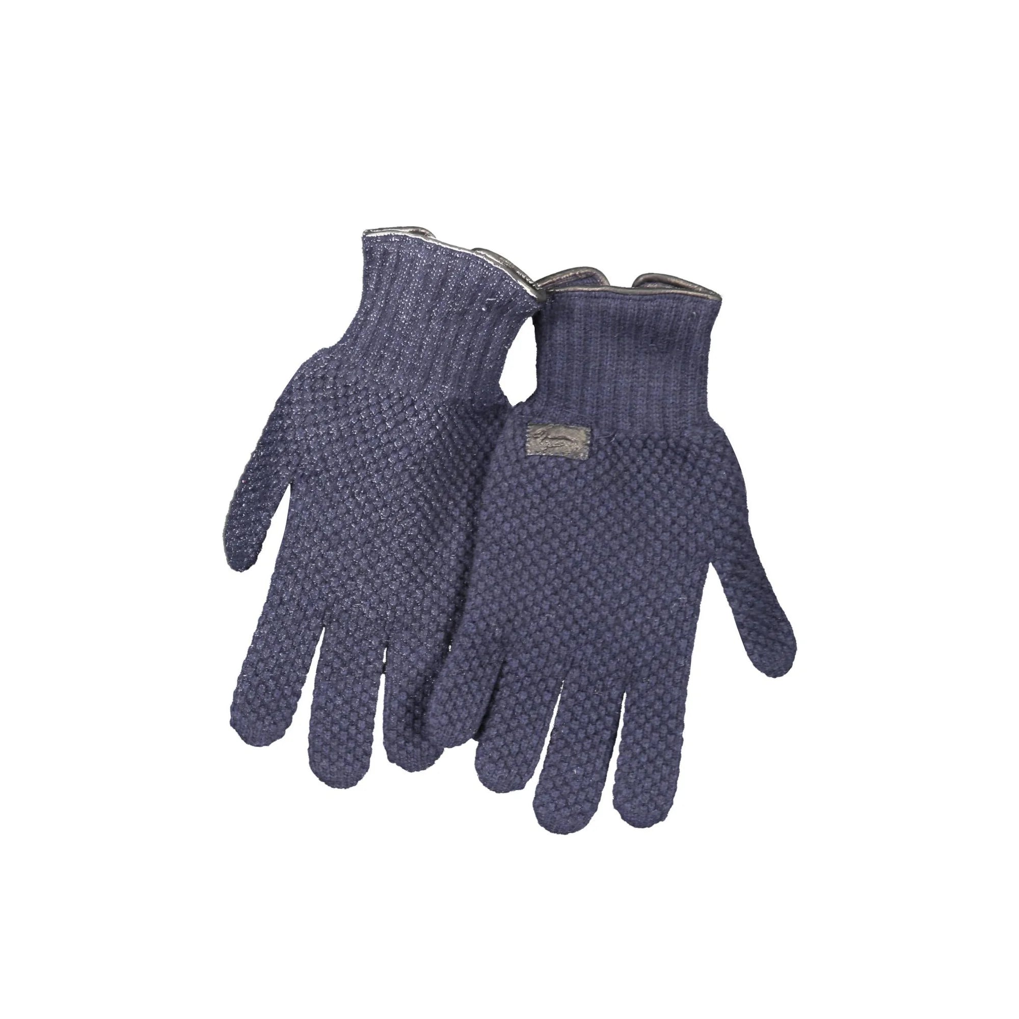 HARMONT & BLAINE GUANTI UOMO BLU