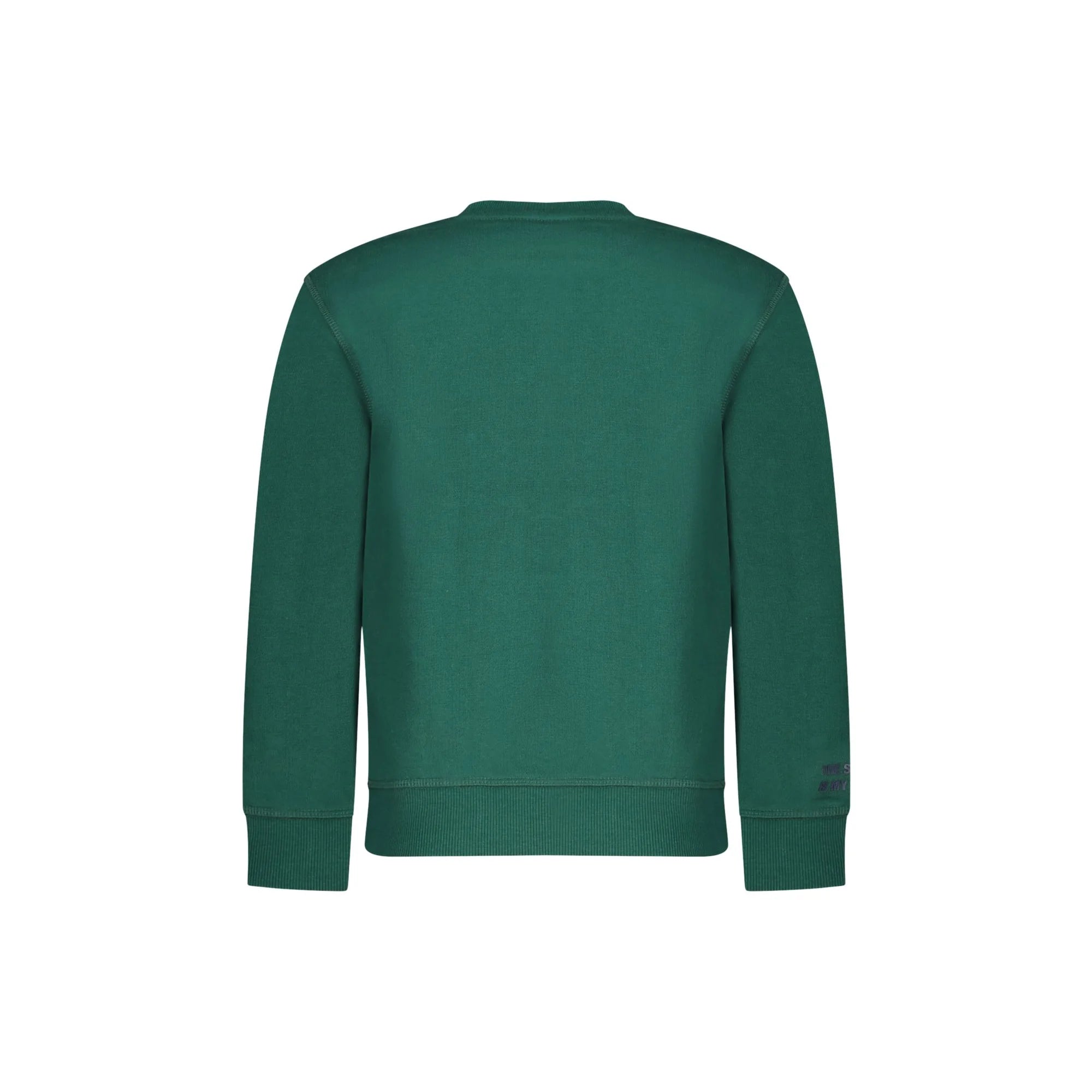 NORTH SAILS FELPA SENZA ZIP BAMBINO VERDE