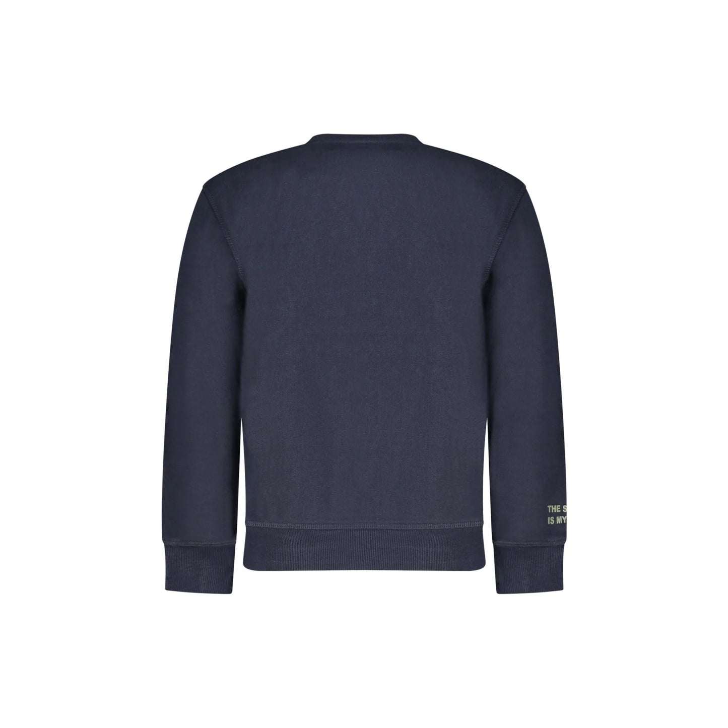 North Sails Felpa Bambino Blu Girocollo Felpata Logo Felpe unisex - vista 2