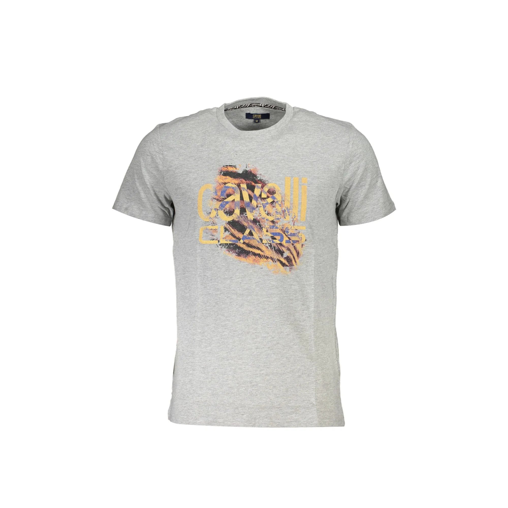 Cavalli Class T-Shirt Maniche Corte Uomo Grigia Stampa Logo Grigio - foto prodotto