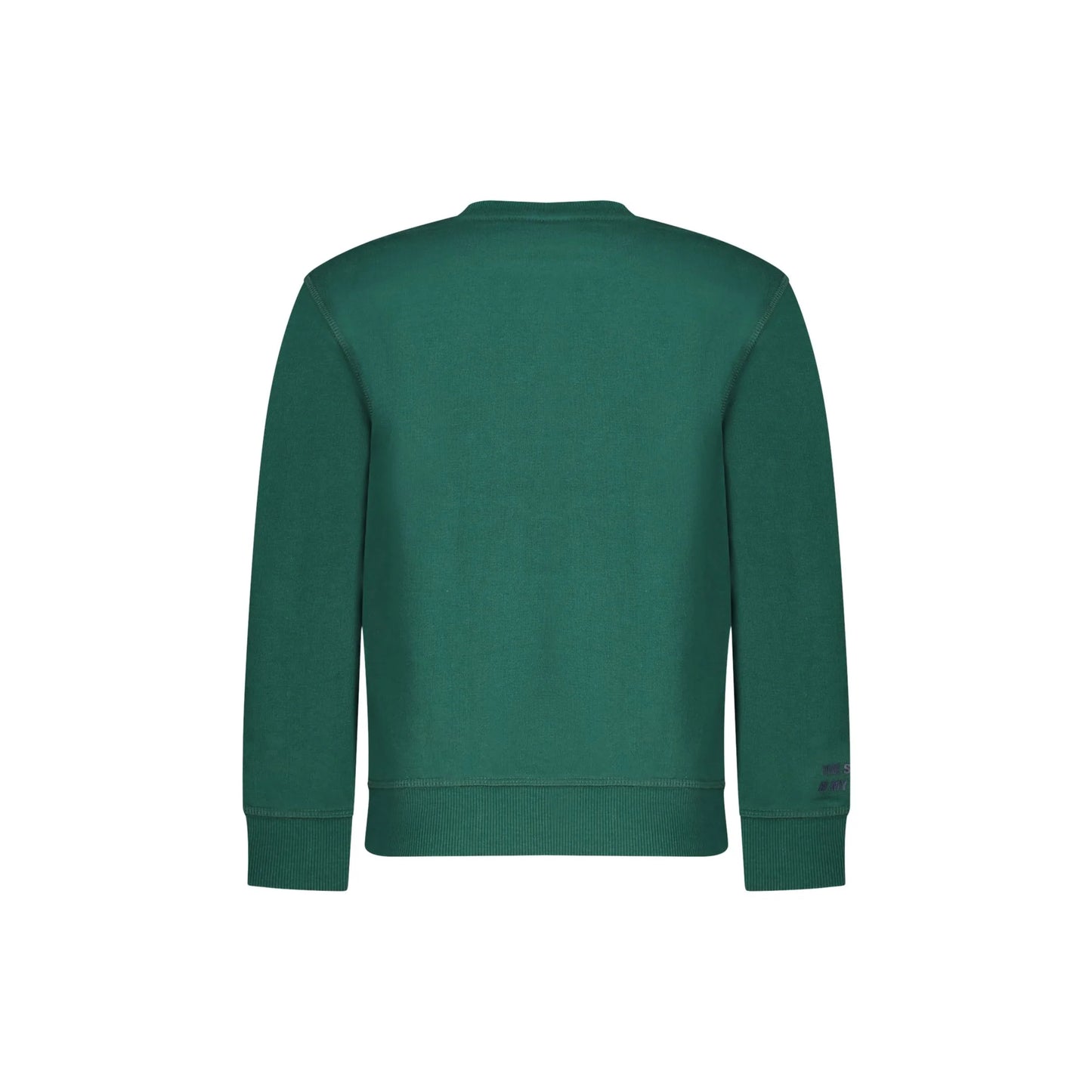 North Sails Felpa Bambino Verde Girocollo Felpata Logo Felpe unisex - vista 2