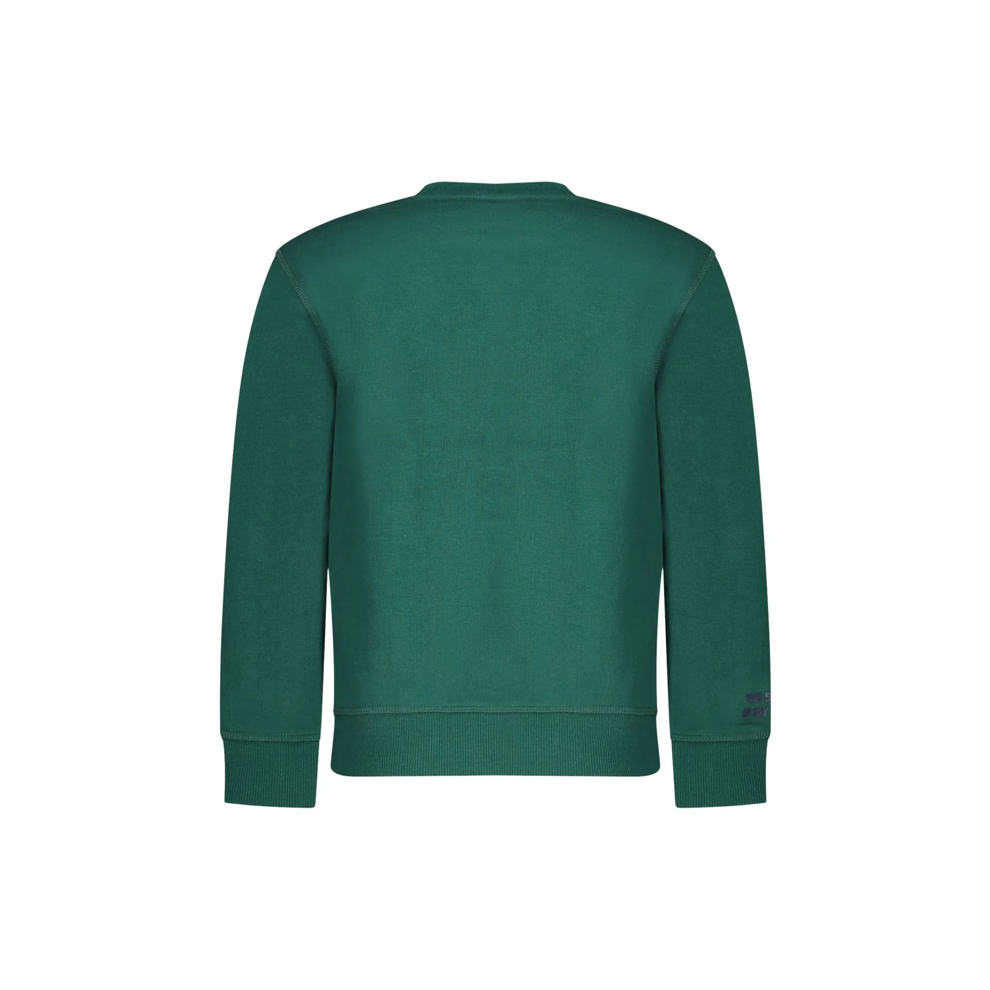 North Sails Felpa Bambino Verde Girocollo Felpata Logo Felpe unisex - vista 2