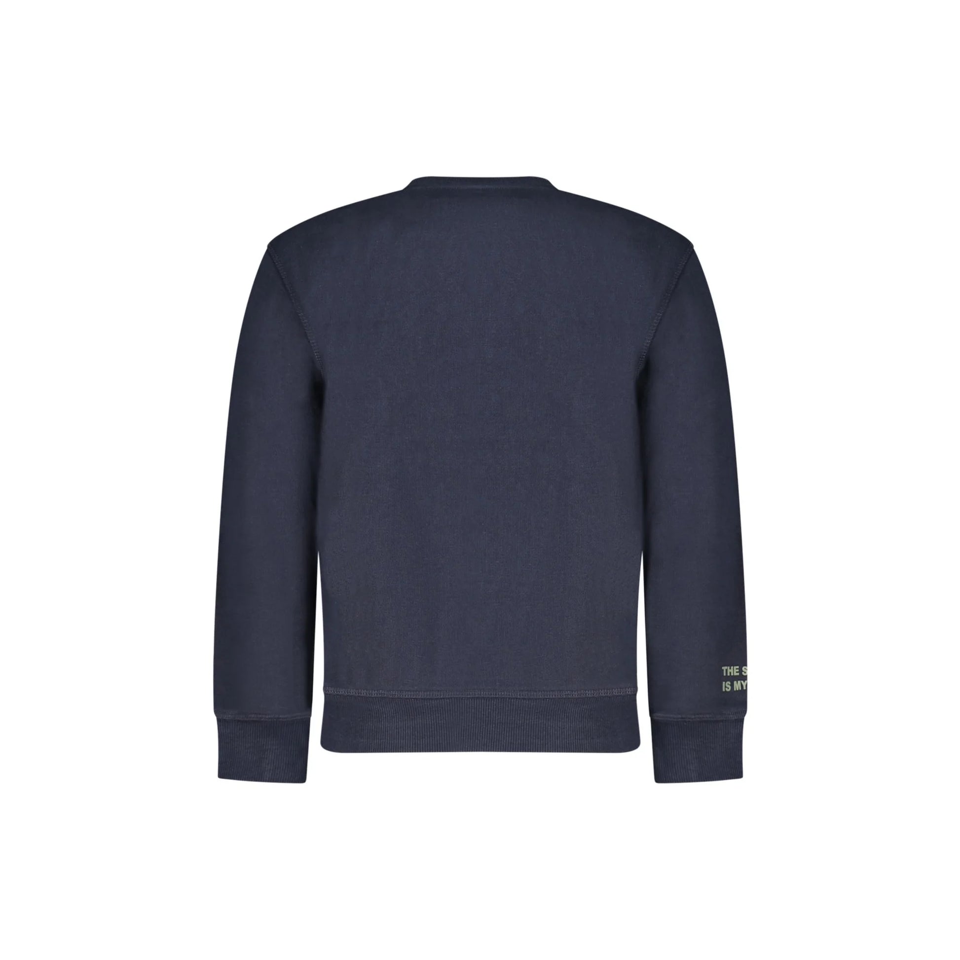 North Sails Felpa Bambino Blu Girocollo Felpata Logo Felpe unisex - vista 2