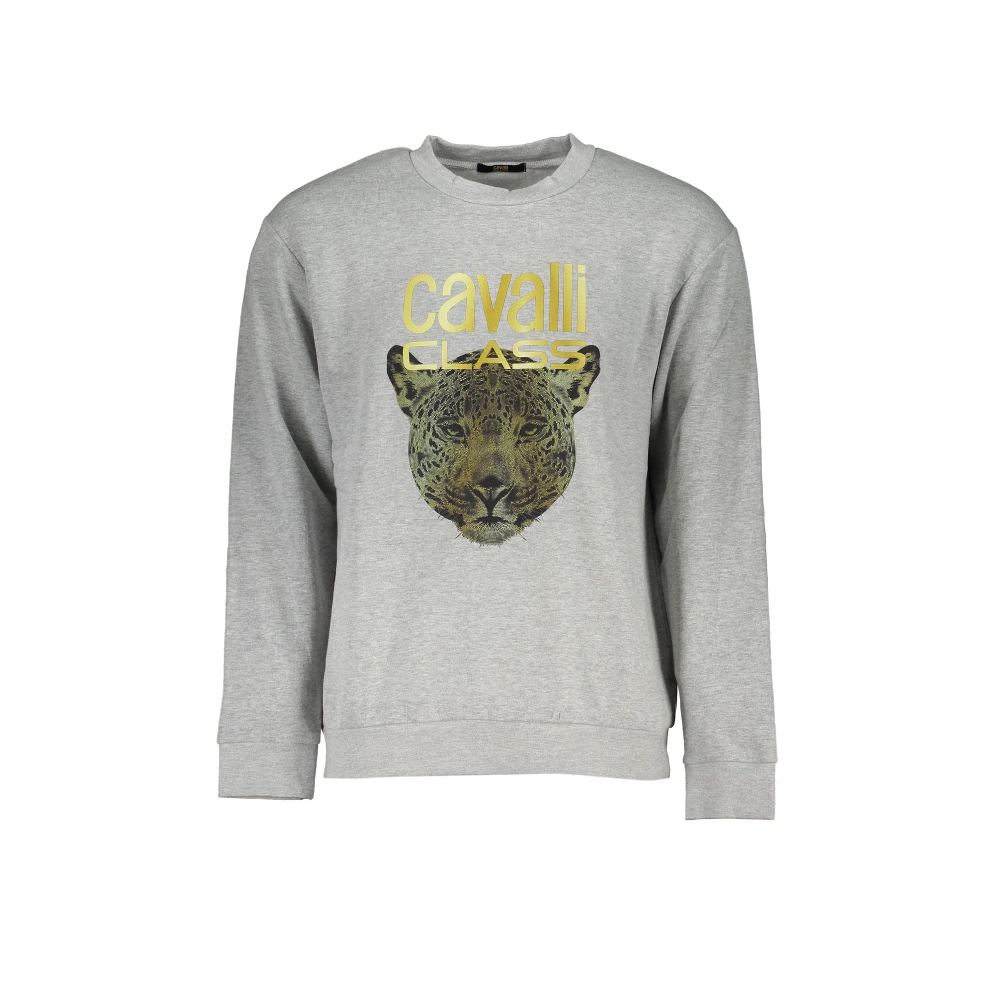 Cavalli Class Felpa Uomo Grigia Girocollo Felpata Logo Felpe Grigio - foto prodotto